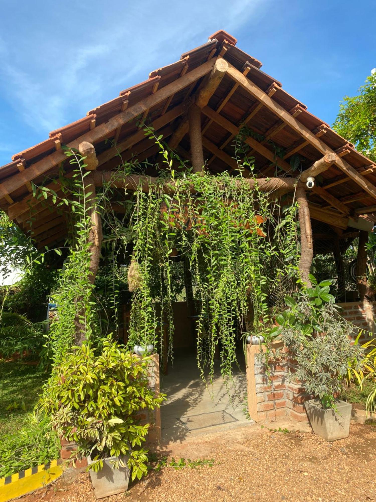 Hotel Hanguk Villa Dambulla Exterior foto