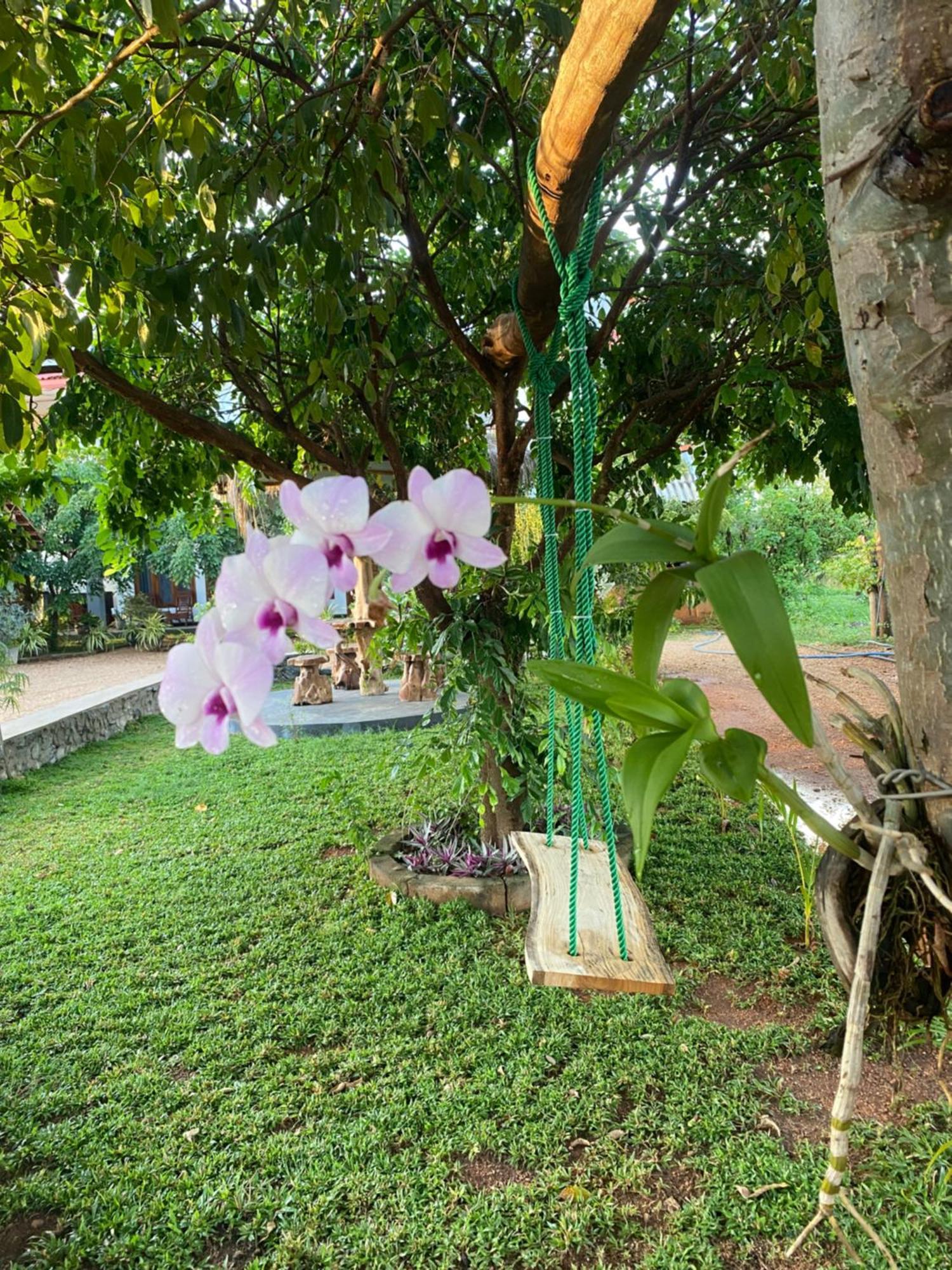 Hotel Hanguk Villa Dambulla Exterior foto